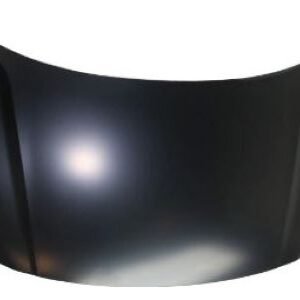 PANELASSY-HOOD كيا 2000