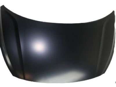PANELASSY-HOOD كيا 2000