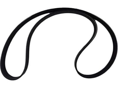 BELT V – أصلي